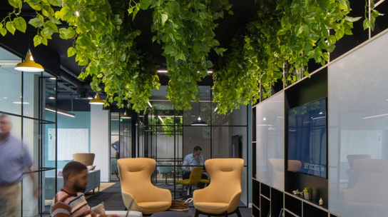 Company Office Image